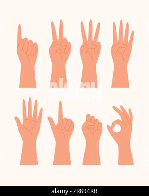 Jeu de mains montrant différents gestes pour compter pour l'illustration du concept de langage des signes Illustration de Vecteur