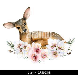 Aquarelle jeune cerf de bébé en rose blanc fleurs couronne illustration isolée sur fond blanc. Clipart animal Banque D'Images