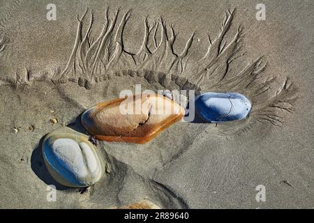 Pierres dans le sable humide à une plage Banque D'Images