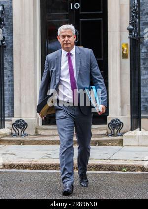 Londres, Royaume-Uni. 20th juin 2023. Stephen Barclay, secrétaire à la Santé, lors de la réunion hebdomadaire du Cabinet à Downing Street. Crédit : Joe Maida/Alay Live News Banque D'Images