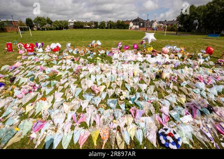 Hommages floraux au parc du Roi George à Harryville, Ballymena, en souvenir de Chloe Mitchell. Ryan Johnston Gordon, 34 ans, de nursery Close, Ballymena, est apparu par liaison vidéo de la prison de Maghaberry, accusé d'avoir aidé un contrevenant à la suite du décès de Chloe, 21 ans, qui a été vu pour la dernière fois dans les premières heures de samedi 3 juin dans le centre-ville de Ballymena. Date de la photo: Mardi 20 juin 2023. Banque D'Images