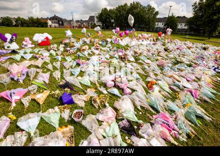 Hommages floraux au parc du Roi George à Harryville, Ballymena, en souvenir de Chloe Mitchell. Ryan Johnston Gordon, 34 ans, de nursery Close, Ballymena, est apparu par liaison vidéo de la prison de Maghaberry, accusé d'avoir aidé un contrevenant à la suite du décès de Chloe, 21 ans, qui a été vu pour la dernière fois dans les premières heures de samedi 3 juin dans le centre-ville de Ballymena. Date de la photo: Mardi 20 juin 2023. Banque D'Images