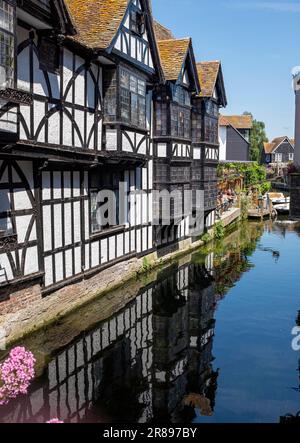 Canterbury , Kent , Angleterre Royaume-Uni - la rivière Stour traversant le centre-ville Banque D'Images