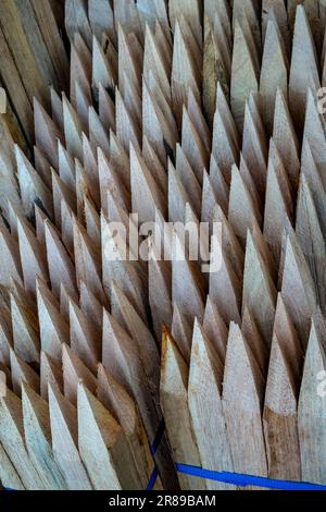 Piquets en bois affûtés pour soutenir les arbres fruitiers à vendre dans un grand centre de jardinage Banque D'Images