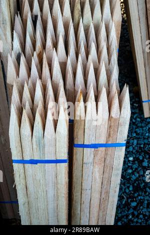 Piquets en bois affûtés pour soutenir les arbres fruitiers à vendre dans un grand centre de jardinage Banque D'Images