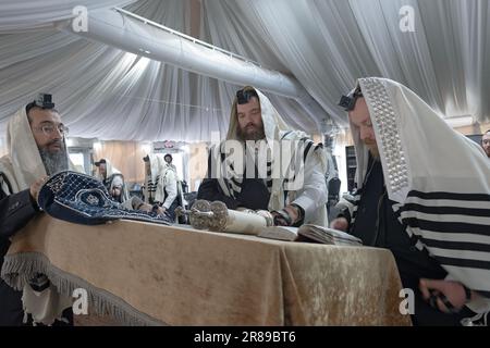 Un Torah lu en semaine dans une synagogue juive orthodoxe dans une tente dans le comté de Rockland, New York. Banque D'Images