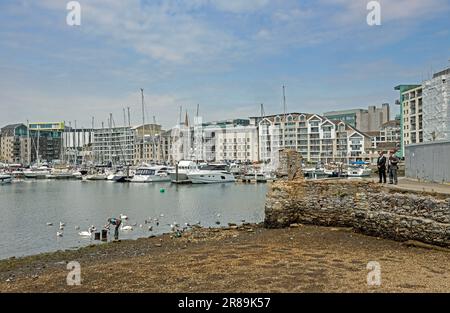 North Quay à Sutton Harbour à Plymouth, vu depuis le Slip près de la Maison de la Chine avec une personne qui s'occupe de la sauvagine et des cygnes Banque D'Images