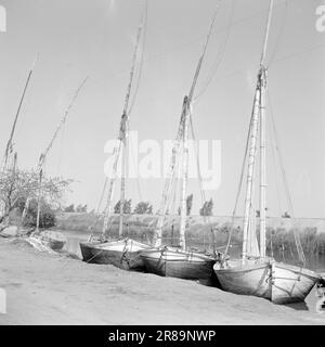 Courant 2-4-1960: Courte rencontre avec l'Égypte l'Égypte de Nasser est le pays de contradictions étourdissantes, et beaucoup plus que des pyramides et des chameaux. Photo: Asmund Rørslett / Aktuell / NTB ***PHOTO NON TRAITÉE Banque D'Images