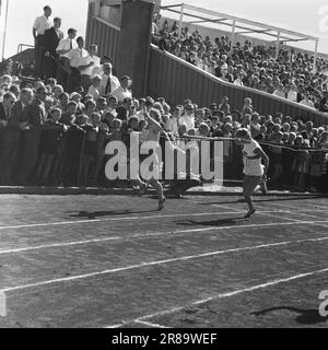 Courant 36-3-1960 : Imaginez si nous avons gagné l'or la Norvège envoie une grande équipe aux Jeux Olympiques de Rome. Les médailles n'ont jamais été aussi élevées. Nous n'osons pas le croire, mais imaginez si nous avons gagné l'or... Photo: Aage Storløkken / Aktuell / NTB ***PHOTO NON TRAITÉE*** Banque D'Images