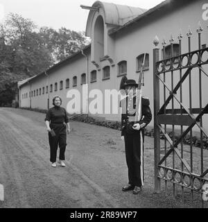 Actuel 34-9-1960: L'art dans l'écurie du roi gagnant du prix Else Hagen est occupé de décorer l'escalier principal du Storting. Le travail prendra quatre ans. Afin d'entrer dans le studio dans la maison d'équitation du roi, sinon Hagen doit montrer un passage à un garde strict. Photo: Aage Storløkken / Aktuell / NTB ***PHOTO NON TRAITÉE*** Banque D'Images