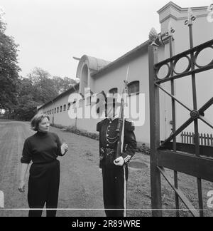 Actuel 34-9-1960: L'art dans l'écurie du roi gagnant du prix Else Hagen est occupé de décorer l'escalier principal du Storting. Le travail prendra quatre ans. Afin d'entrer dans le studio dans la maison d'équitation du roi, sinon Hagen doit montrer un passage à un garde strict. Photo: Aage Storløkken / Aktuell / NTB ***PHOTO NON TRAITÉE*** Banque D'Images