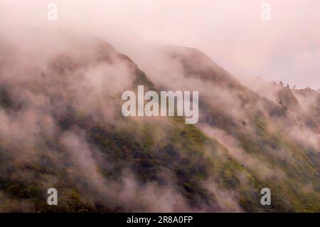 Une vue de la vallée de Mawkdok-Dympep à Meghalaya, en Inde, pendant la saison de la mousson, avec un épais brouillard roulant sur le plateau dans la vallée ci-dessous. Banque D'Images