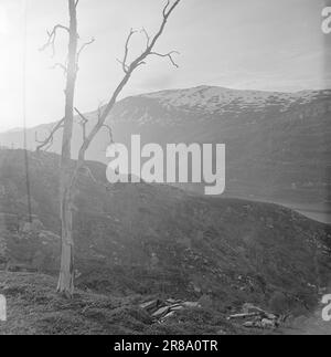 Courant 17-1950: L'industrie dans les eaux destroetBetween montagne enneigée à la frontière suédoise, très à l'est de Bodø, se trouve Sulitjelma. Les habitants de cette ville de montagne sont entièrement dépendants de l'exploitation minière et des mines de cette ville. Les communications sont mauvaises. Au printemps et en automne, Sulitjelma peut être complètement isolé du monde extérieur. Les 3 000 personnes qui y vivent sont toutes des « nous » et vivent leur propre vie - presque comme un état dans un état. Photo: Sverre A. Børretzen / Aktuell / NTB ***PHOTO NON TRAITÉE*** Banque D'Images