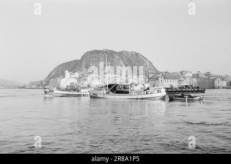 Réel 13-1-1960: Boom sur la mer du hareng la pêche au hareng a échoué pour la troisième année consécutive. Photo: Sverre A. Børretzen / Aktuell / NTB ***PHOTO NON TRAITÉE*** Banque D'Images