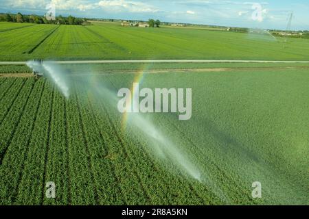 Photographie aérienne par drone d'un système d'irrigation agricole avec un gros dévidoir, pour la culture des cultures pendant l'été après un vin très sec Banque D'Images