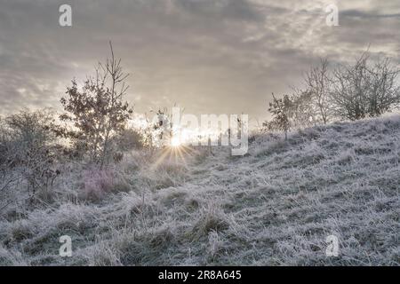Lever du soleil au début du mois de février dans un champ rural du Royaume-Uni. Banque D'Images