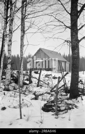 Courant 2-8-1960: Grense pousse ensemble au milieu de la frontière entre la Norvège et la Suède, la petite chapelle constitue un défi pour toutes les divisions artificielles. Pour les sitres sur ces bords, la frontière n'est rien de plus qu'une rue de dix mètres de large à travers la forêt. Ils ont le même long chemin jusqu'à l'endroit densément peuplé le plus proche en Suède qu'en Norvège. Photo: Sverre A. Børretzen / Aktuell / NTB ***PHOTO NON TRAITÉE*** Banque D'Images