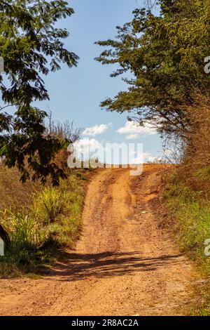 Catalao, Goias, Brésil – 18 juin 2023 : un paysage avec un chemin de terre entre la végétation du cerrado de Goias et le ciel en arrière-plan. Banque D'Images