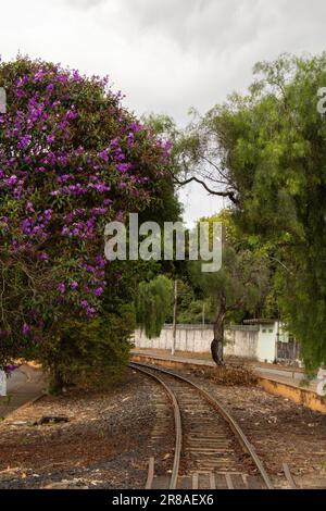 Catalao, Goias, Brésil – 16 juin 2023 : un tronçon de voies de locomotives passant entre les arbres dans la ville de Catalao à Goias. Banque D'Images