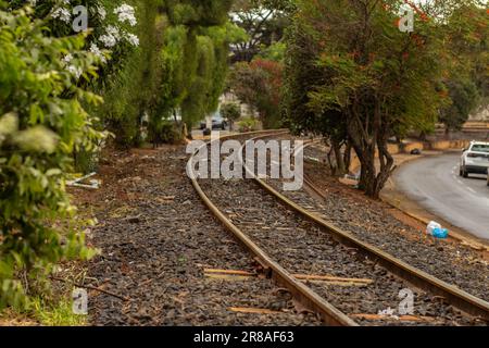 Catalao, Goias, Brésil – 16 juin 2023 : un tronçon de voies de locomotives passant entre les arbres dans la ville de Catalao à Goias. Banque D'Images