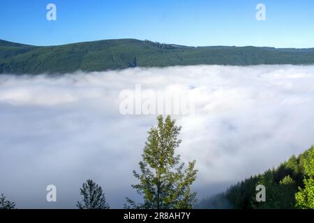 Les nuages couvrent une vallée au-dessous du mont Saints Helens, Washington Banque D'Images