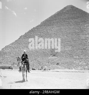 Courant 2-4-1960: Courte rencontre avec l'Égypte l'Égypte de Nasser est le pays de contradictions étourdissantes, et beaucoup plus que des pyramides et des chameaux. Photo: Asmund Rørslett / Aktuell / NTB ***PHOTO NON TRAITÉE Banque D'Images