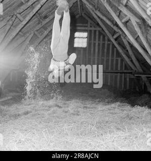 Courant 21-6-1960: Viljebunt de Jæren Norvège, le seul participant de gymnastique aux Jeux Olympiques, Åge Storhaug, s'entraîne chez lui à Løa. Photo: Ivar Aaserud / Aktuell / NTB ***PHOTO NON TRAITÉE*** Banque D'Images