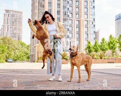 Une charmante jeune fille marche le long de la rue de la ville avec deux chiens dorés par une journée ensoleillée. La fille joue et forme les animaux. Amour et affection entre le propriétaire Banque D'Images