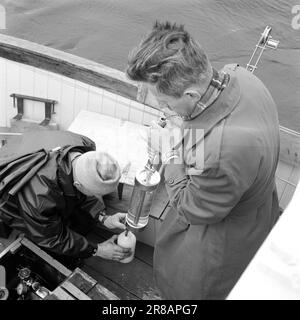 Actuel 31-8-1960: Eaux usées l'eau de baignade nous nous jetons dans le musc plancton et les bactéries intestinales dans le fjord intérieur - mais est-ce dangereux pour la santé? Personne ne sait rien à ce sujet - pour l'instant. Photo: Ivar Aaserud / Aktuell / NTB ***PHOTO NON TRAITÉE*** Banque D'Images