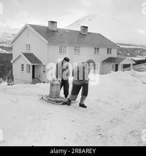 Réel 18-7-1960: Strømbu-Kara six anciens bacheliers ont une pension à Sollia et le rendent si confortable pour les invités qu'ils reviennent vingt ans de suite. Photo: Aage Storløkken / Aktuell / NTB ***PHOTO NON TRAITÉE*** Banque D'Images