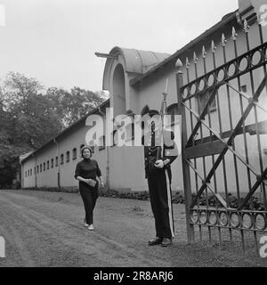 Actuel 34-9-1960: L'art dans l'écurie du roi gagnant du prix Else Hagen est occupé de décorer l'escalier principal du Storting. Le travail prendra quatre ans. Afin d'entrer dans le studio dans la maison d'équitation du roi, sinon Hagen doit montrer un passage à un garde strict. Photo: Aage Storløkken / Aktuell / NTB ***PHOTO NON TRAITÉE*** Banque D'Images