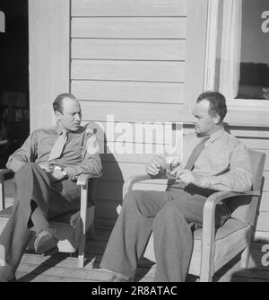 Effectif 11-2-1947: Le Jödeleieren à Ystehede Norvège nouveaux citoyens le samedi 9 mai, le navire de transport de troupes norvégien 'Svalbard' approcha le port de Halden. A bord se trouvaient 399 Juifs, qui vont maintenant trouver une maison dans ce pays et construire une nouvelle vie après de nombreuses années de cauchemars dans les environs des fours à gaz et des escadrons d'exécution. Photo : Th. Skotaam / Aktuell / NTB Banque D'Images