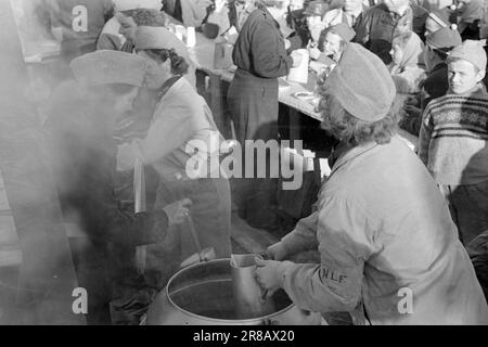 Courant 06-1950: De nouvelles pages à Holmenkollen.cette année le vent était sur le point de souffler l'ensemble de Holmenkollrennet, mais après un report de trois heures il est mort, et le grand festival folklorique qui attire tous, même à ceux qui s'occupent peu pour le sport, est allé de la pile conformément à la réglementation. Voici des photos du photographe Sverre A. Børretzen qui montrent la vie qui s'est déroulée parmi les 90 000 spectateurs avant, pendant et après la course. Photo; Sverre A. Børretzen / Aktuell / NTB ***PHOTO NON TRAITÉE*** Banque D'Images