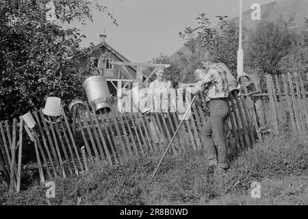 Actuel 39-4-1960: Étudiant agriculteur à Tigerstaden. L'étudiant Lars Ramstad est transplanté du village de montagne de Skjåk aux blocs de béton d'Oslo. 'Dur,' dit-il, 'mais ça va fonctionner'.photo: Ivar Aaserud / Aktuell / NTB Banque D'Images