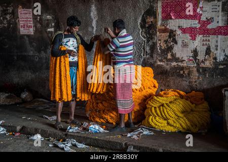 Guirlande Marigold en vente au marché aux fleurs Mallick Ghat à Kolkata, en Inde Banque D'Images