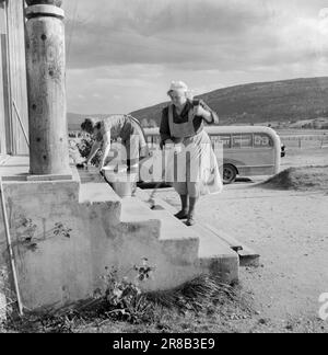 Réel 22-1950: Première de district au théâtre national. Le Théâtre national en tournée à Bø dans le TÉMARQUE avec la pièce 'Stormberget'.Foro: Sverre A. Børretzen / Aktuell ***photo non traitée*** Banque D'Images