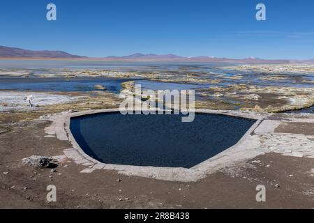 Termas de Polques, piscine avec une source chaude à Laguna Chalviri, juste un point fort tout en parcourant la route pittoresque de la lagune dans l'Altiplano bolivien Banque D'Images