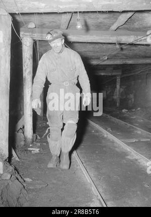 Réel 18-1947: Avant-poste norvégien SvalbardNorvégien dans l'océan Arctique actuellement en visite à Longyearbyen à Svalbard et donnant aux lecteurs un goût de la vie comme mineur ou trappeur. Hilmar Hansen d'Ofoten travaille dans l'une des mines de charbon de Svalbard. Fatigué et fatigué, mais de bonne humeur, il traverse le passage de la mine après son quart de travail. Maintenant, un bain devrait avoir bon goût! Photo : Th. Skotaam / Aktuell / NTB ***PHOTO NON TRAITÉE*** Banque D'Images