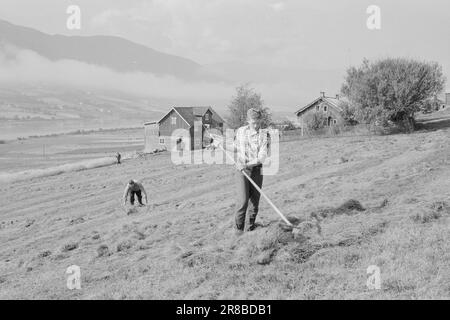 Actuel 39-4-1960: Étudiant agriculteur à Tigerstaden. L'étudiant Lars Ramstad est transplanté du village de montagne de Skjåk aux blocs de béton d'Oslo. 'Dur,' dit-il, 'mais ça va fonctionner'.photo: Ivar Aaserud / Aktuell / NTB Banque D'Images