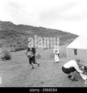 Courant 33-2-1960: Procession de la mariée dans la colère. Synnøve Hauge et Samson Bjørke se sont mariés dans l'église Vikøy de bonne vieille mode. Photo: Ivar Aaserud / Aktuell / NTB ***photo non traitée*** Banque D'Images