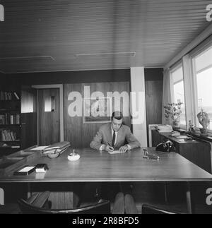 Actuel 33-3-1960: Carrière en rouge, blanc et vert le jeune homme de Drammen a tout le grand Copenhague dans son régime. Bjørn Lindstad est directeur du marché de gros le plus moderne d'Europe, en deux ans également l'un des plus importants au monde. Photo: Ivar Aaserud / NTB / Aktuell ***PHOTO NON TRAITÉE*** Banque D'Images