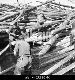 Actuel 17-1-1947: Les rapports de séété catastrophique affluent de tous les coins de la Norvège orientale au sujet des conséquences extrêmement graves de la sécheresse prolongée. Les grands fleuves ont diminué à presque rien. Les flotteurs font les plus grands efforts pour remettre le bois en service, mais le nettoyage final est exceptionnellement difficile cette année. L'eau doit monter au moins un demi-mètre si l'on veut avoir l'espoir d'un résultat raisonnablement utilisable. Photo: Aktuell / NTB ***PHOTO NON TRAITÉE*** Banque D'Images