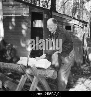 Réel 9-1-1947: Einar Gerhardsen discussion informelle privée avec le Premier ministre Einar Gerhardsen a 50 ans le 10 mai, et à cette occasion, 'Aktuell' l'a recherché à sa cachette, le chalet 'Kristi Rolighet' à Bærum. Editor Per Bratland décrit la vie là-bas dans le texte et les images. Dans une conversation avec le jubilé, les problèmes politiques de la plus grande portée sont abordés. Le bois d'aujourd'hui a alors été coupé, mais la coupe a été perturbée par la conversation que nous reproduisons ci-dessous, et a dû être reportée. Photo: Aktuell / NTB ***PHOTO NON TRAITÉE*** Banque D'Images