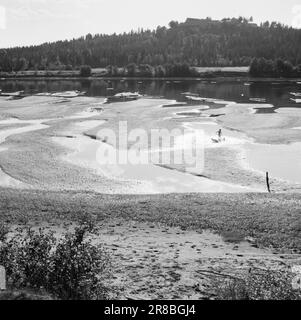 Actuel 17-1-1947: Les rapports de séété catastrophique affluent de tous les coins de la Norvège orientale au sujet des conséquences extrêmement graves de la sécheresse prolongée. Les grands fleuves ont diminué à presque rien. Les immenses bancs de sable que les rivières de l’est de la Norvège sont aujourd’hui en train d’exposer sont une belle vue, mais déprimante. Les enfants ont un merveilleux moment dans les flaques, mais le bois de cette année est laissé derrière. Photo: Aktuell / NTB ***PHOTO NON TRAITÉE*** Banque D'Images