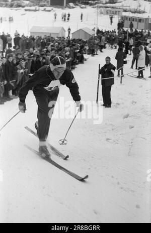 Courant 5-5-1947: Holmenkolldagen 1947Holmenkollen c'était un jour idéal pour le Holmenkollrenn 50th, avec un nouveau record au sol de 71 mètres, établi par le norvégien Hans Kaarstein, BUL, Oslo. Swede Sven Israelsson a remporté la coupe du Roi. C'est la première fois dans l'histoire de Holmenkollen qu'un étranger l'a fait. Photo: Aktuell / NTB ***PHOTO NON TRAITÉE*** Banque D'Images