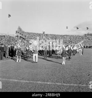 Réel 47-3-1960: Le dernier trimestre où Rosenborg était déjà champion de coupe pour 1960 - mais ensuite il a glissé pour eux dans les dernières minutes du match. Photo: Knut Skarland / Ivar Aaserud / Nils Werenskiold / Aktuell / NTB ***PHOTO NON TRAITÉE*** Banque D'Images