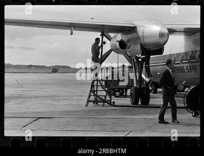 Courant 40-4-1960 : le grain suit la brise du jet. Le grain est cultivé entre les pistes et les taxis à Stavanger Lufthavn Sola.photo: Sverre A. Børretzen / Aktuell / NTB ***PHOTO NON TRAITÉE*** Banque D'Images