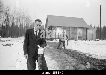 Courant 2-8-1960: Grense pousse ensemble au milieu de la frontière entre la Norvège et la Suède, la petite chapelle constitue un défi pour toutes les divisions artificielles. Pour les sitres sur ces bords, la frontière n'est rien de plus qu'une rue de dix mètres de large à travers la forêt. Ils ont le même long chemin jusqu'à l'endroit densément peuplé le plus proche en Suède qu'en Norvège. Photo: Sverre A. Børretzen / Aktuell / NTB ***PHOTO NON TRAITÉE*** Banque D'Images