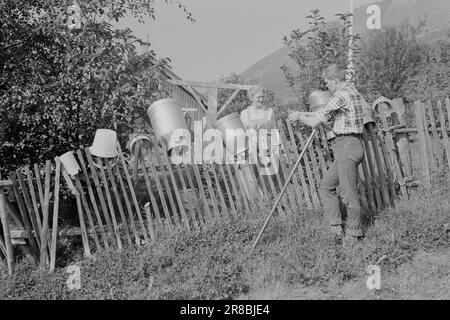 Actuel 39-4-1960: Étudiant agriculteur à Tigerstaden. L'étudiant Lars Ramstad est transplanté du village de montagne de Skjåk aux blocs de béton d'Oslo. 'Dur,' dit-il, 'mais ça va fonctionner'.photo: Ivar Aaserud / Aktuell / NTB Banque D'Images