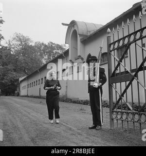 Actuel 34-9-1960: L'art dans l'écurie du roi gagnant du prix Else Hagen est occupé de décorer l'escalier principal du Storting. Le travail prendra quatre ans. Afin d'entrer dans le studio dans la maison d'équitation du roi, sinon Hagen doit montrer un passage à un garde strict. Photo: Aage Storløkken / Aktuell / NTB ***PHOTO NON TRAITÉE*** Banque D'Images